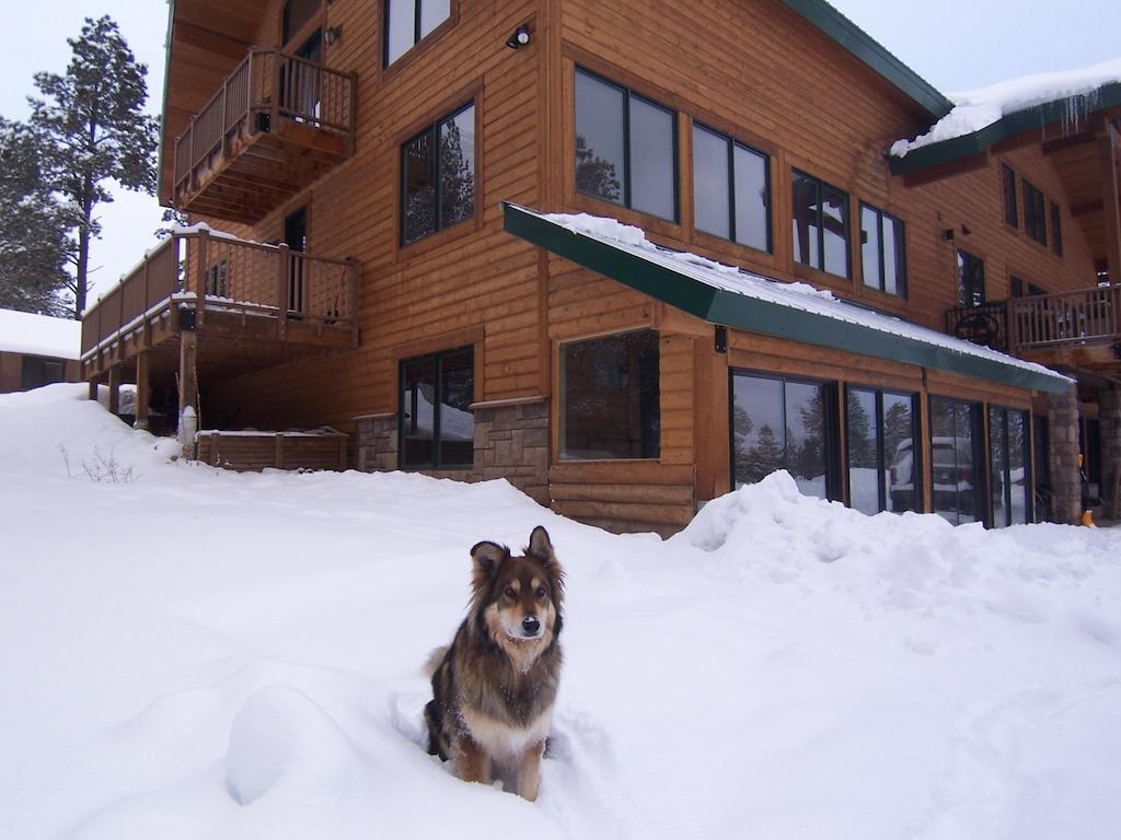 Elktrace Bed And Breakfast Pagosa Springs Kültér fotó