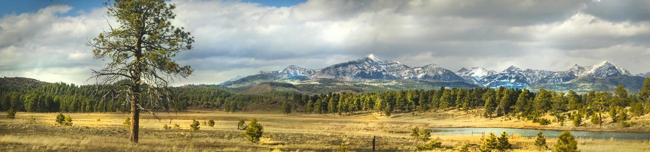 Elktrace Bed And Breakfast Pagosa Springs Kültér fotó